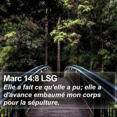 Marc 14:8 LSG Bible Verse Image