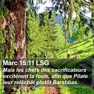 Marc 15:11 LSG Bible Verse Image