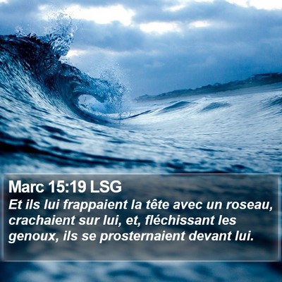 Marc 15:19 LSG Bible Verse Image
