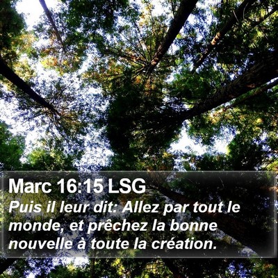 Marc 16:15 LSG Bible Verse Image