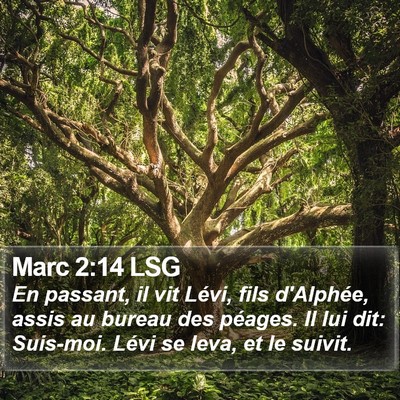 Marc 2:14 LSG Bible Verse Image