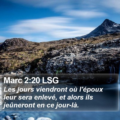 Marc 2:20 LSG Bible Verse Image