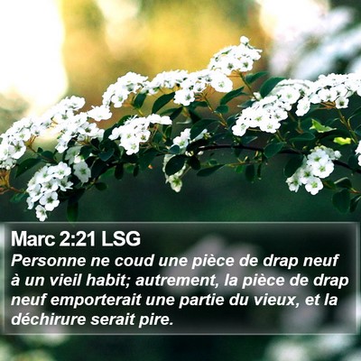 Marc 2:21 LSG Bible Verse Image