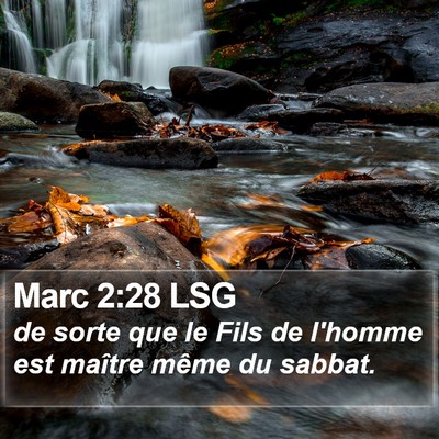 Marc 2:28 LSG Bible Verse Image