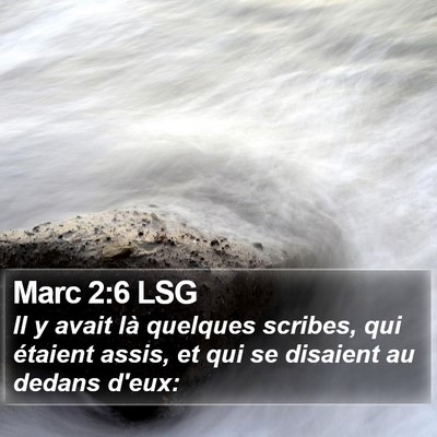 Marc 2:6 LSG Bible Verse Image