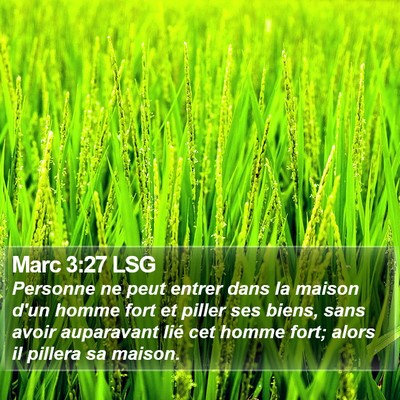 Marc 3:27 LSG Bible Verse Image