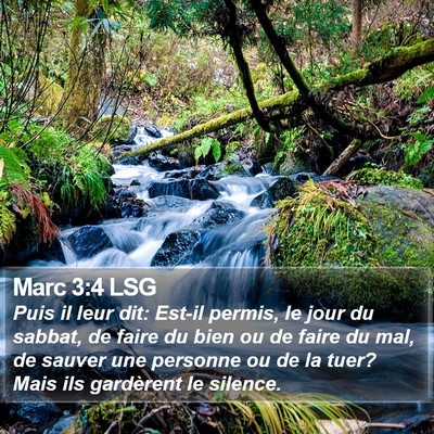 Marc 3:4 LSG Bible Verse Image
