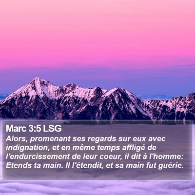 Marc 3:5 LSG Bible Verse Image