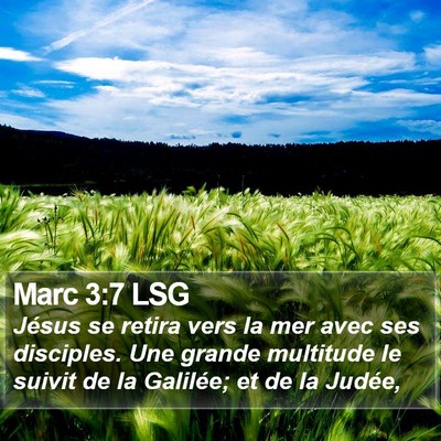 Marc 3:7 LSG Bible Verse Image