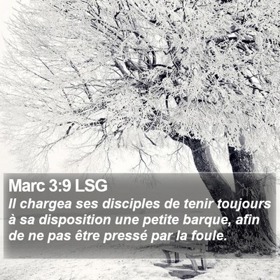 Marc 3:9 LSG Bible Verse Image