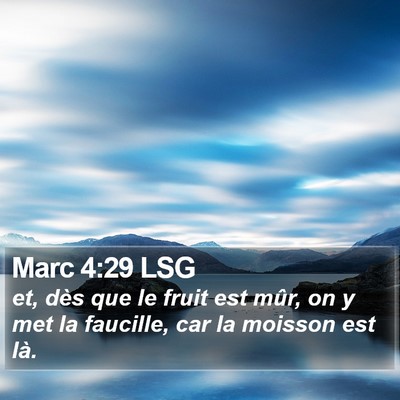 Marc 4:29 LSG Bible Verse Image