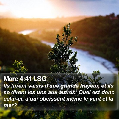 Marc 4:41 LSG Bible Verse Image