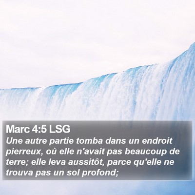 Marc 4:5 LSG Bible Verse Image