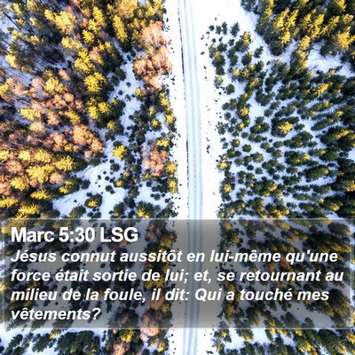 Marc 5:30 LSG Bible Verse Image