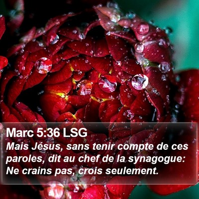 Marc 5:36 LSG Bible Verse Image