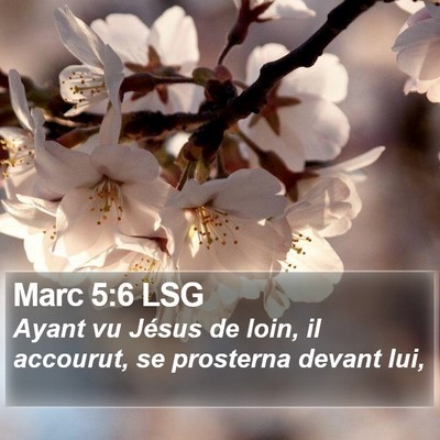 Marc 5:6 LSG Bible Verse Image