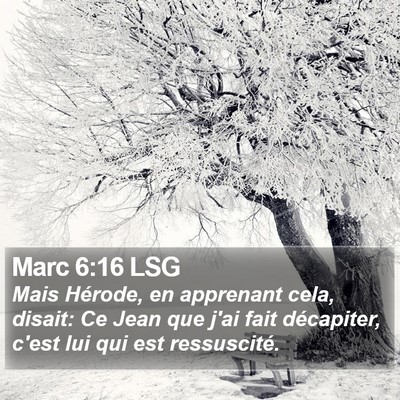 Marc 6:16 LSG Bible Verse Image