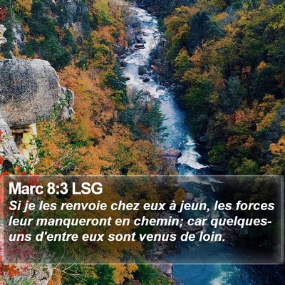 Marc 8:3 LSG Bible Verse Image