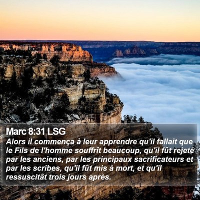 Marc 8:31 LSG Bible Verse Image