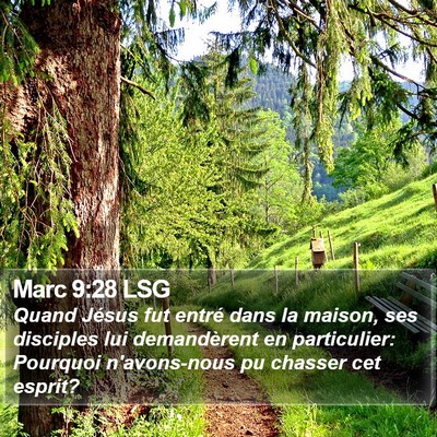 Marc 9:28 LSG Bible Verse Image