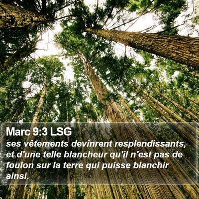 Marc 9:3 LSG Bible Verse Image