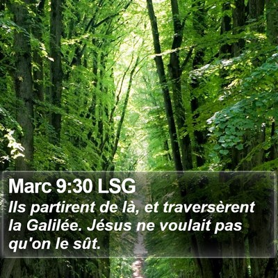 Marc 9:30 LSG Bible Verse Image