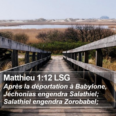 Matthieu 1:12 LSG Bible Verse Image