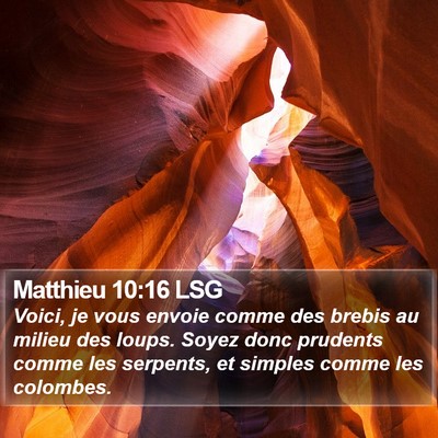 Matthieu 10:16 LSG Bible Verse Image
