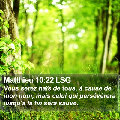 Matthieu 10:22 LSG Bible Verse Image