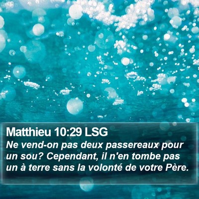 Matthieu 10:29 LSG Bible Verse Image