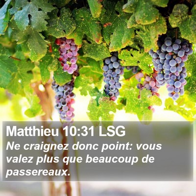 Matthieu 10:31 LSG Bible Verse Image