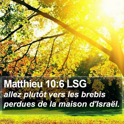 Matthieu 10:6 LSG Bible Verse Image