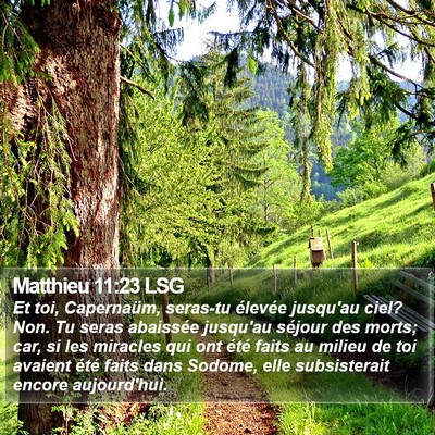 Matthieu 11:23 LSG Bible Verse Image
