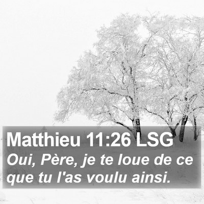 Matthieu 11:26 LSG Bible Verse Image