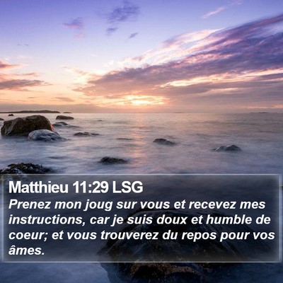 Matthieu 11:29 LSG Bible Verse Image