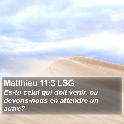 Matthieu 11:3 LSG Bible Verse Image