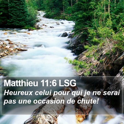 Matthieu 11:6 LSG Bible Verse Image