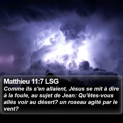Matthieu 11:7 LSG Bible Verse Image