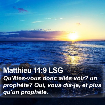 Matthieu 11:9 LSG Bible Verse Image