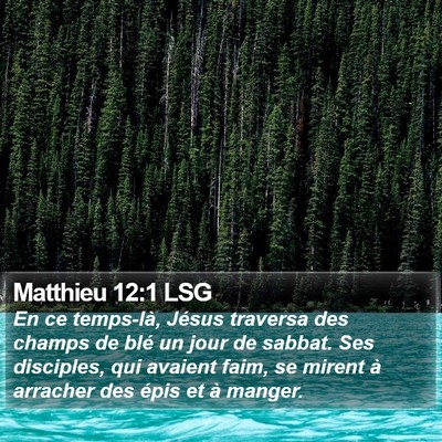 Matthieu 12:1 LSG Bible Verse Image