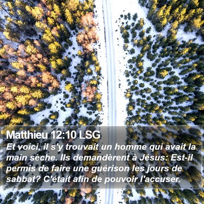 Matthieu 12:10 LSG Bible Verse Image