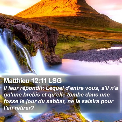 Matthieu 12:11 LSG Bible Verse Image