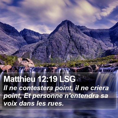 Matthieu 12:19 LSG Bible Verse Image