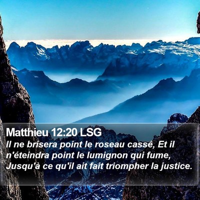 Matthieu 12:20 LSG Bible Verse Image
