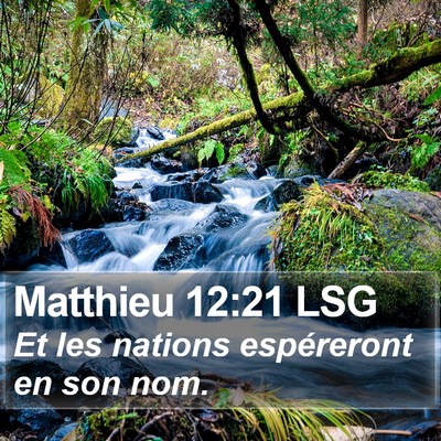 Matthieu 12:21 LSG Bible Verse Image