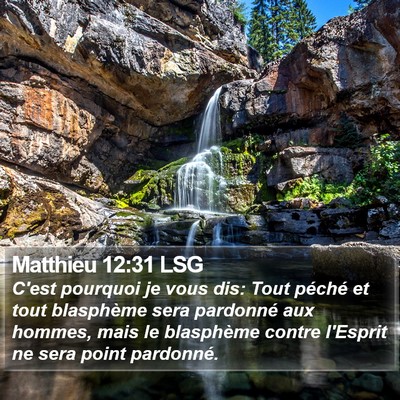 Matthieu 12:31 LSG Bible Verse Image