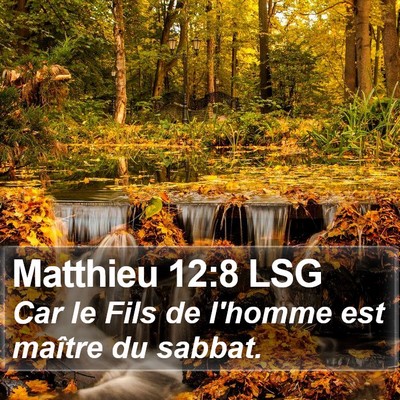 Matthieu 12:8 LSG Bible Verse Image