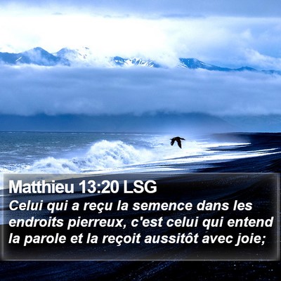 Matthieu 13:20 LSG Bible Verse Image