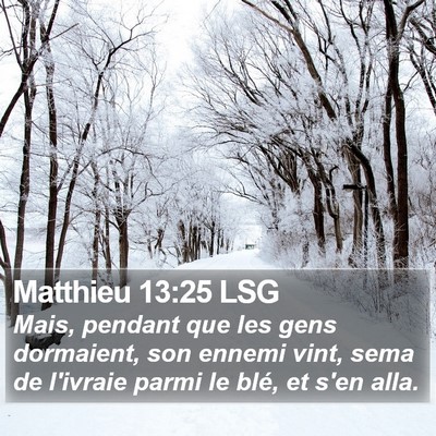Matthieu 13:25 LSG Bible Verse Image