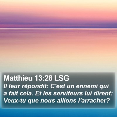 Matthieu 13:28 LSG Bible Verse Image